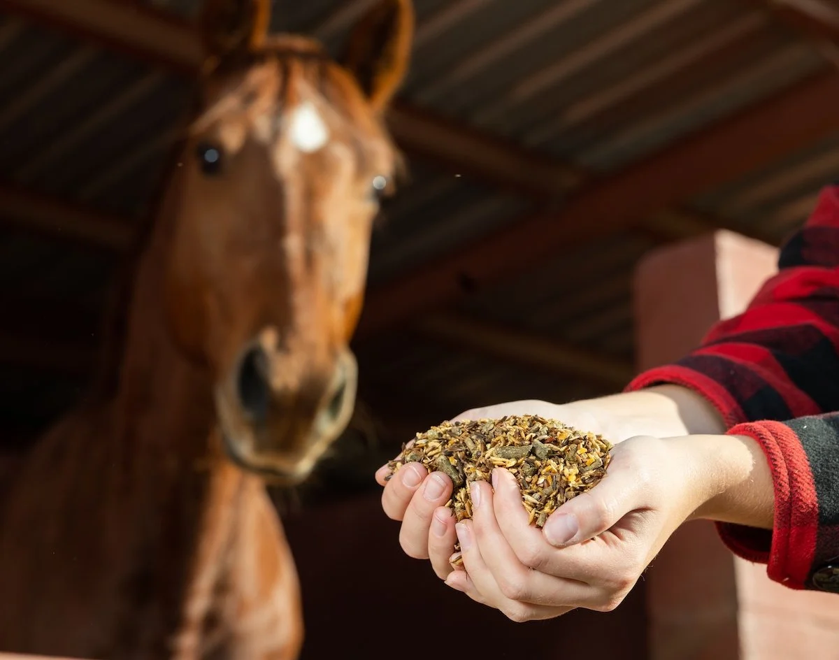 Feeding Hard Keepers Without Excess Grain