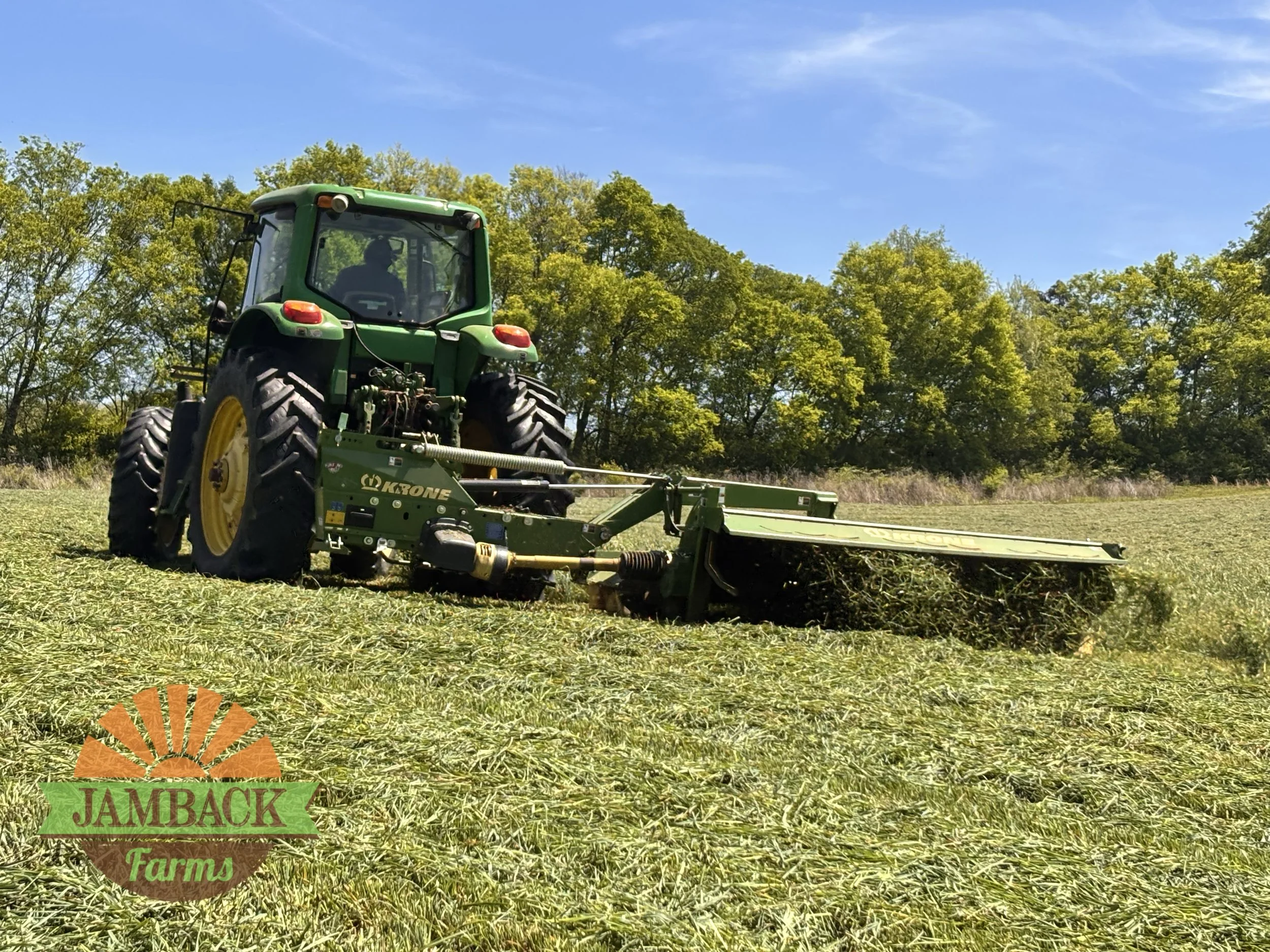 Why Consistent Forage Access Matters