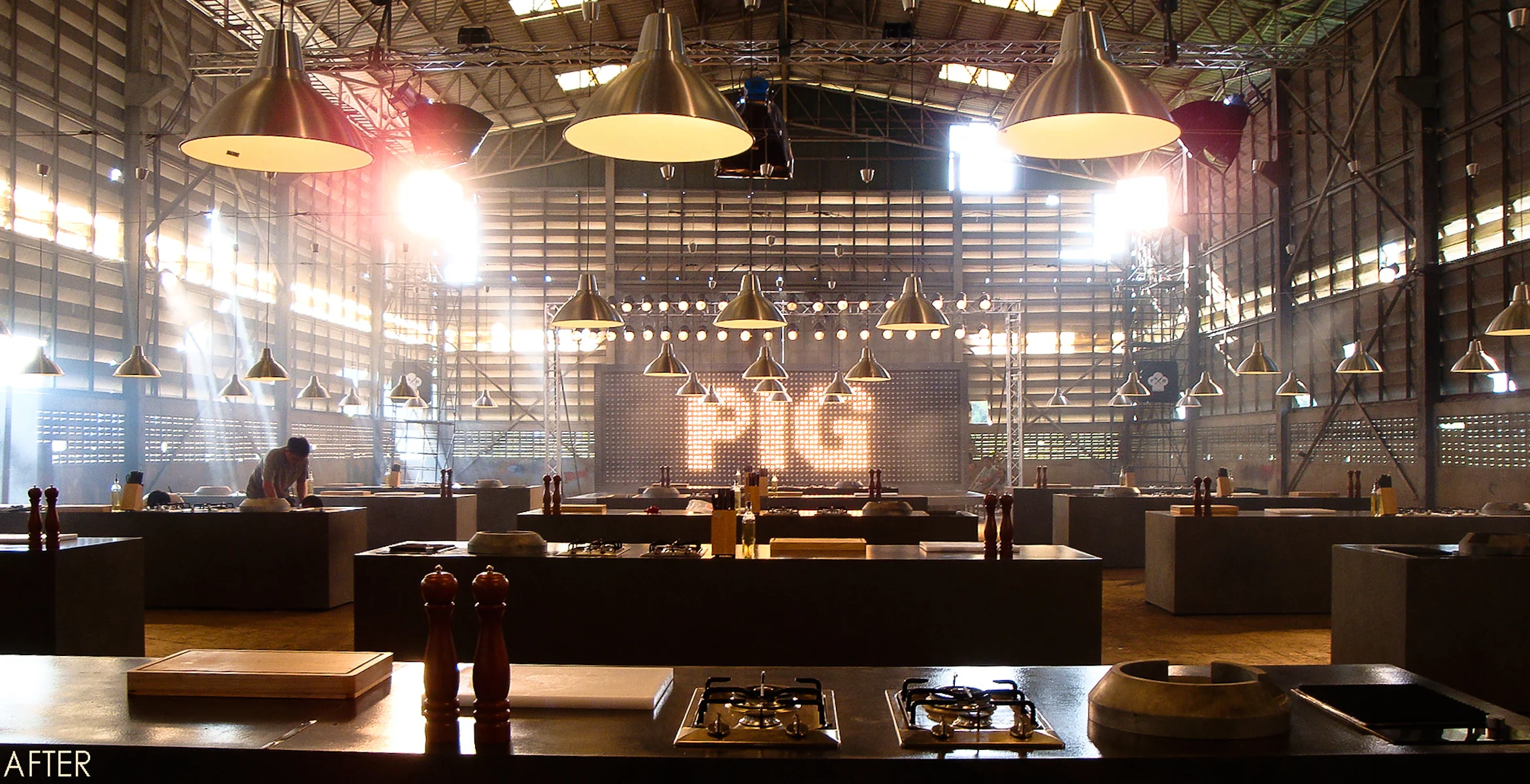 57 38052-11029172-PIG-NEW2_jpg.jpg