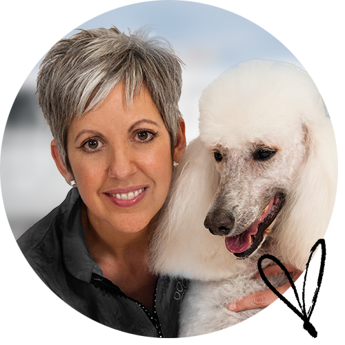 Pet-love-connie-buchanan.png