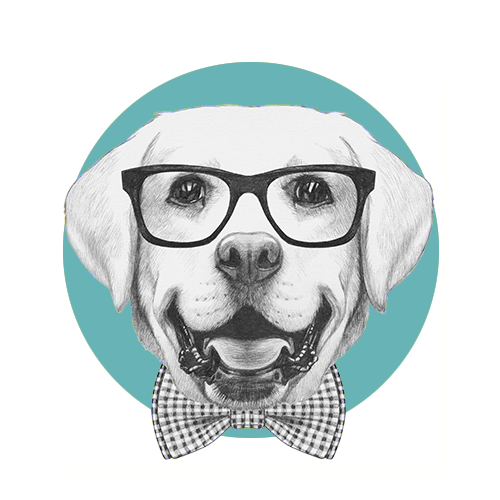 Dog-Grooming-Regina5.png