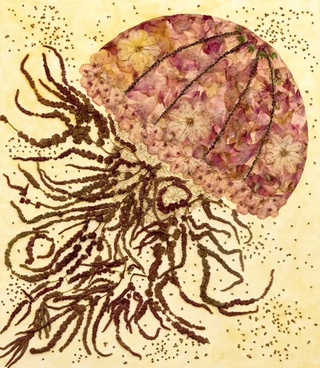 "Jellyfish"