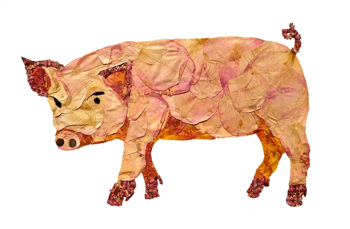 "Pink Pig"