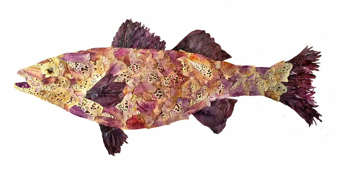 "Purple Fish"