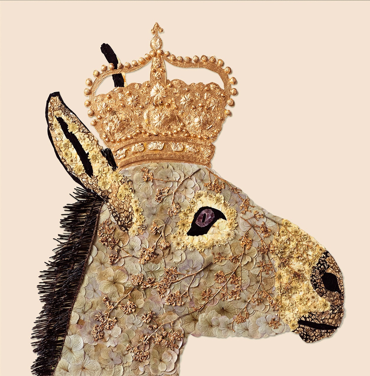 House of Royals / Charles The Donkey