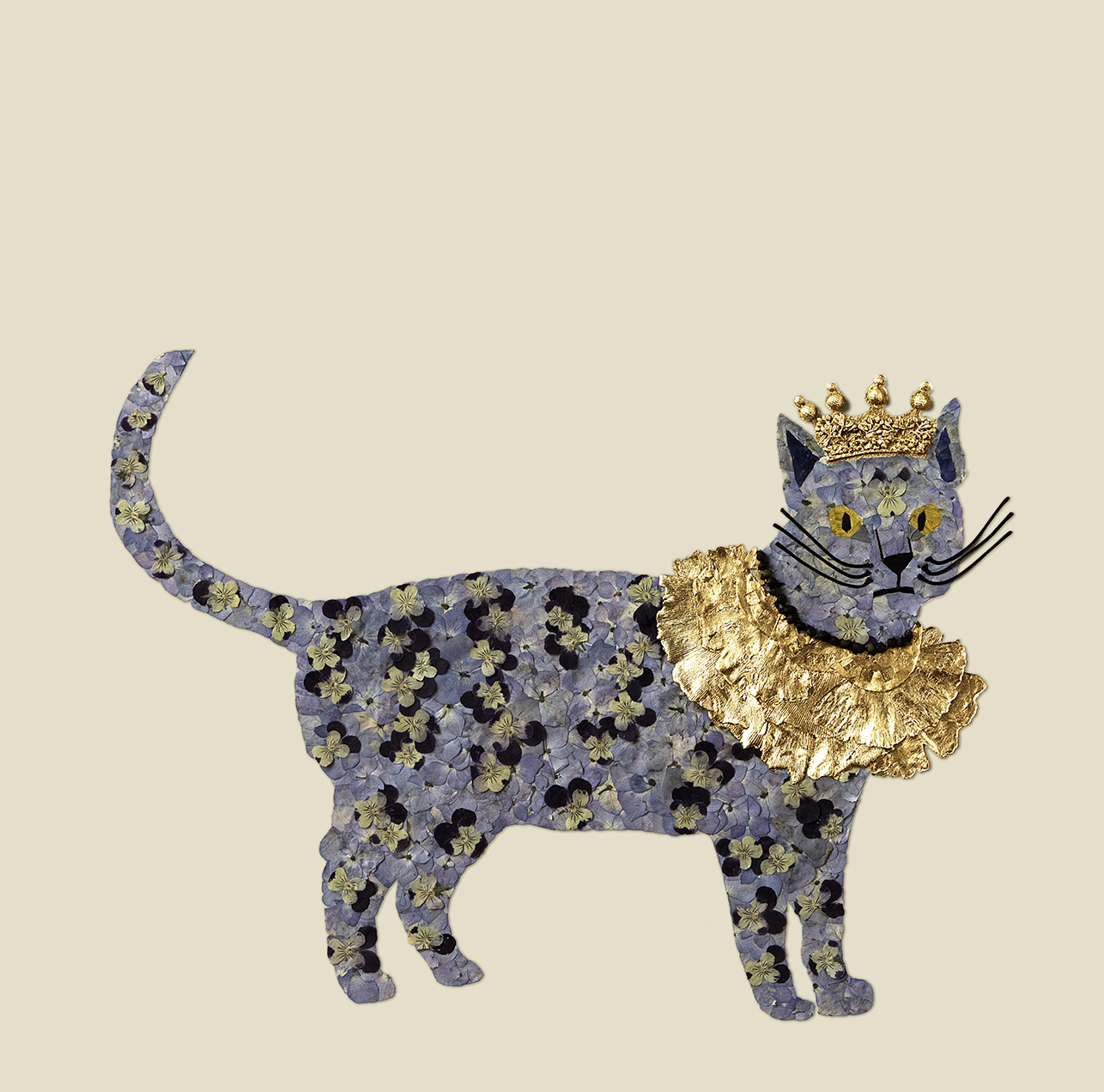 House of Royals / Salvador The Cat