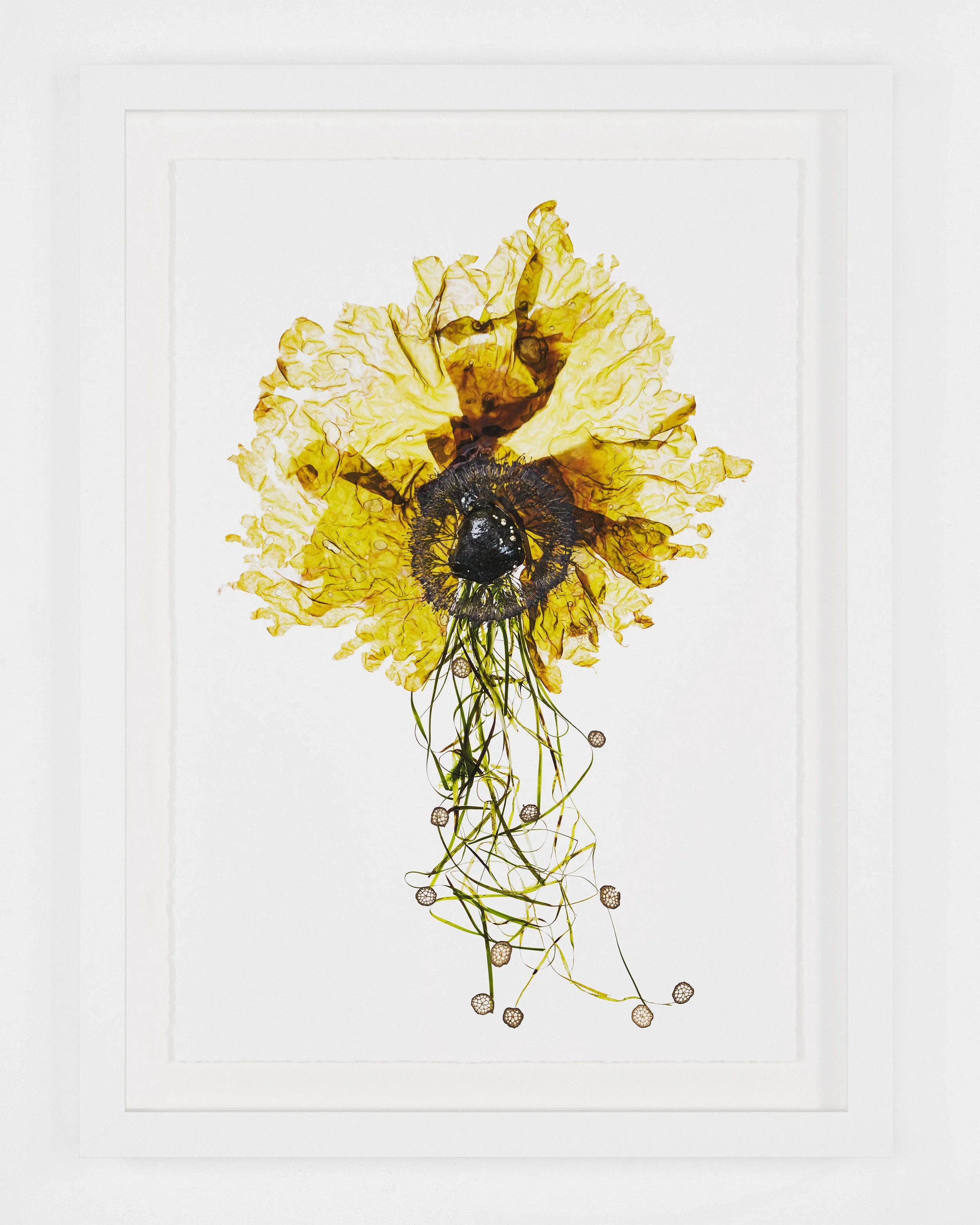 Amanda_McCauley_ArtRepro_019.jpg