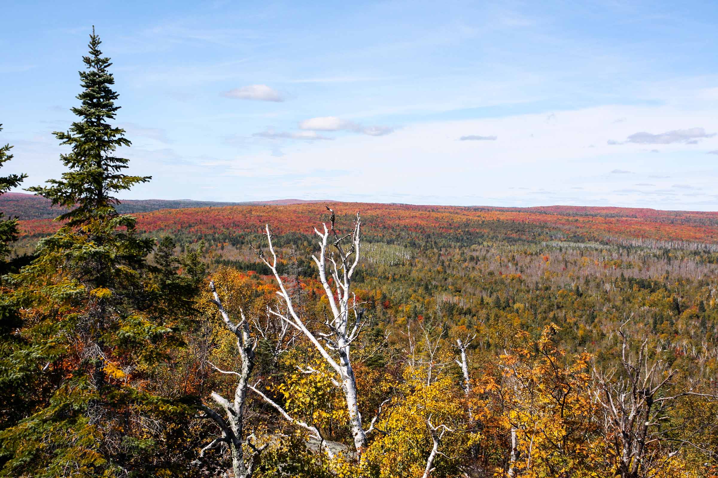 Carlton Peak overlook