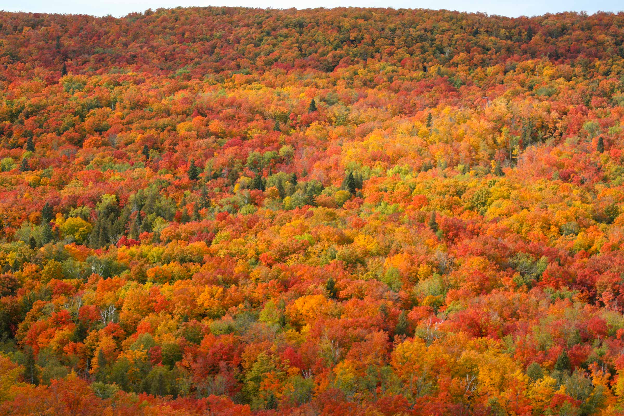 Lutsen Mountain overlook