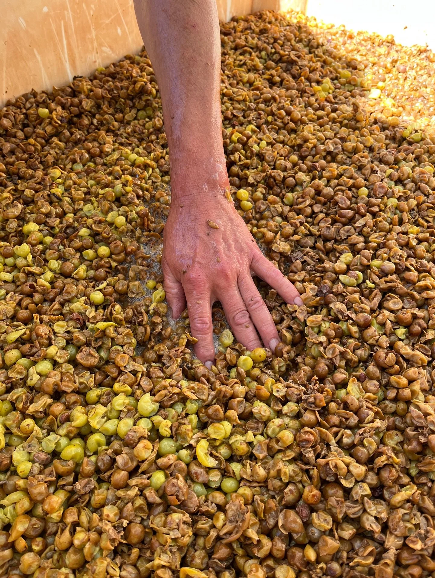 It goes without saying that 2025 has been a tough year for the California wine industry. Tariffs, rising costs and changes in wine consumption have created a tenuous situation for grape growers and winemakers alike. It is difficult to ignore the acre