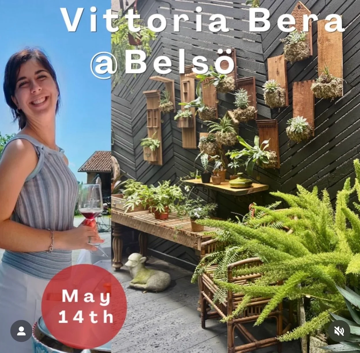 Vittoria Bera of @beravittorioefigli will be visiting CA so get ready! 

THU MAY 14 - @biondivino event at @belso_by_flipp 
FRI MAY 15 - @thepunchdownsebastopol 5pm

MON/TUE MAY 18/19 - Visiting various locations in LA!