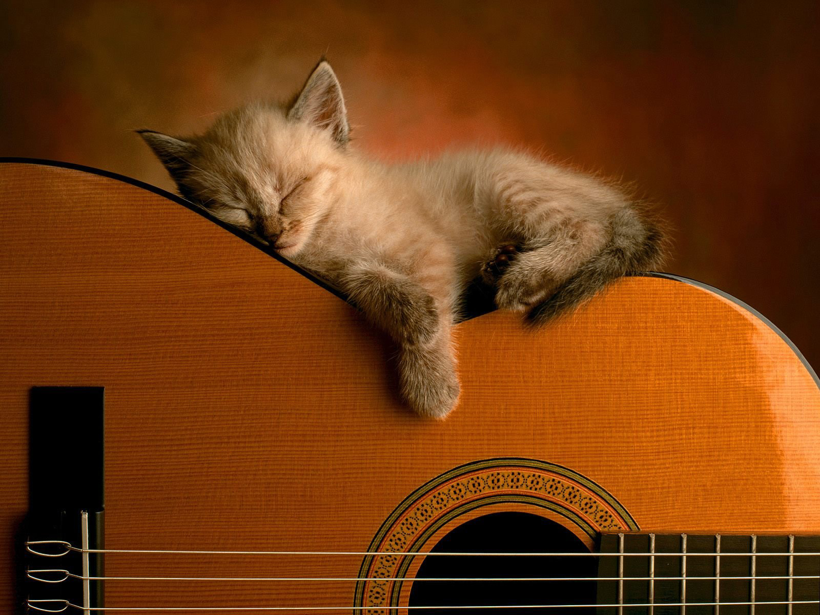Guitar_0031.jpg
