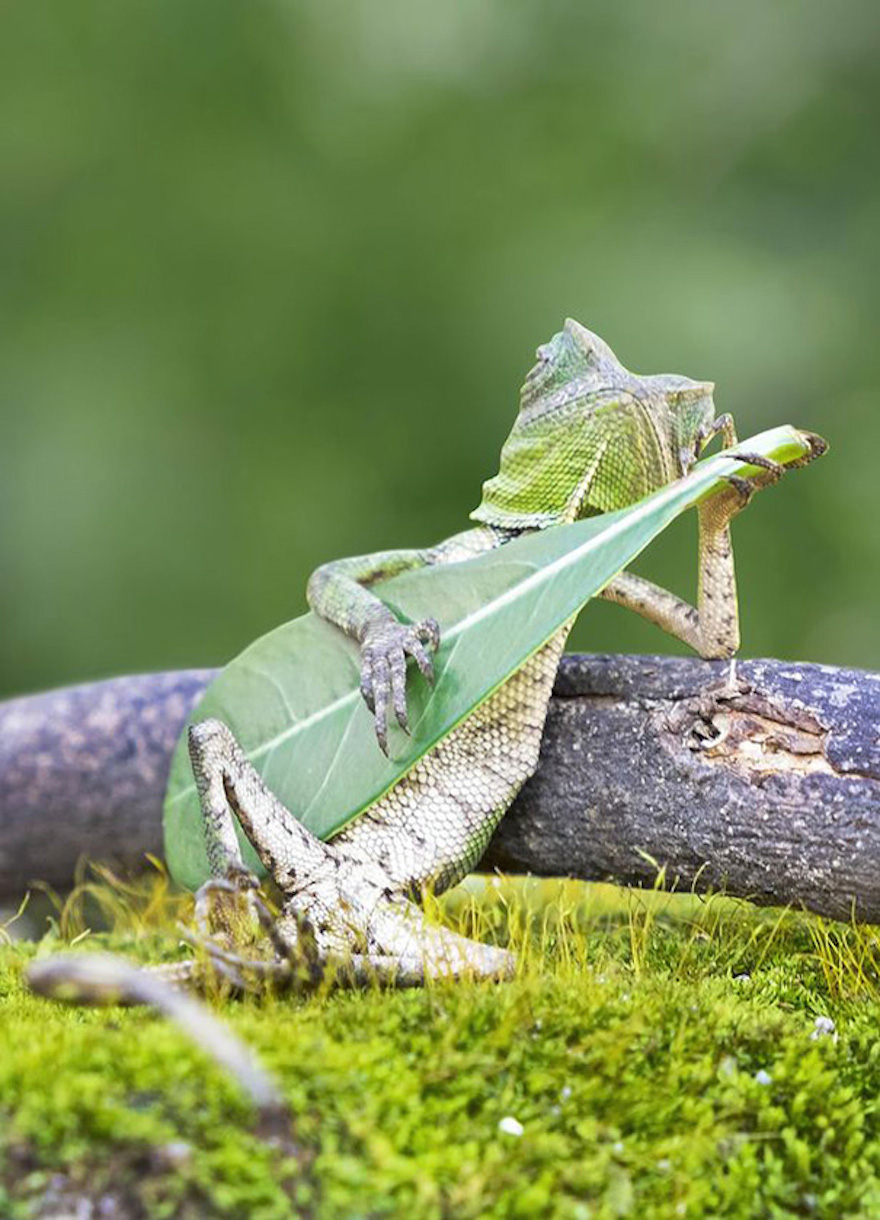 Guitar_0033.jpg