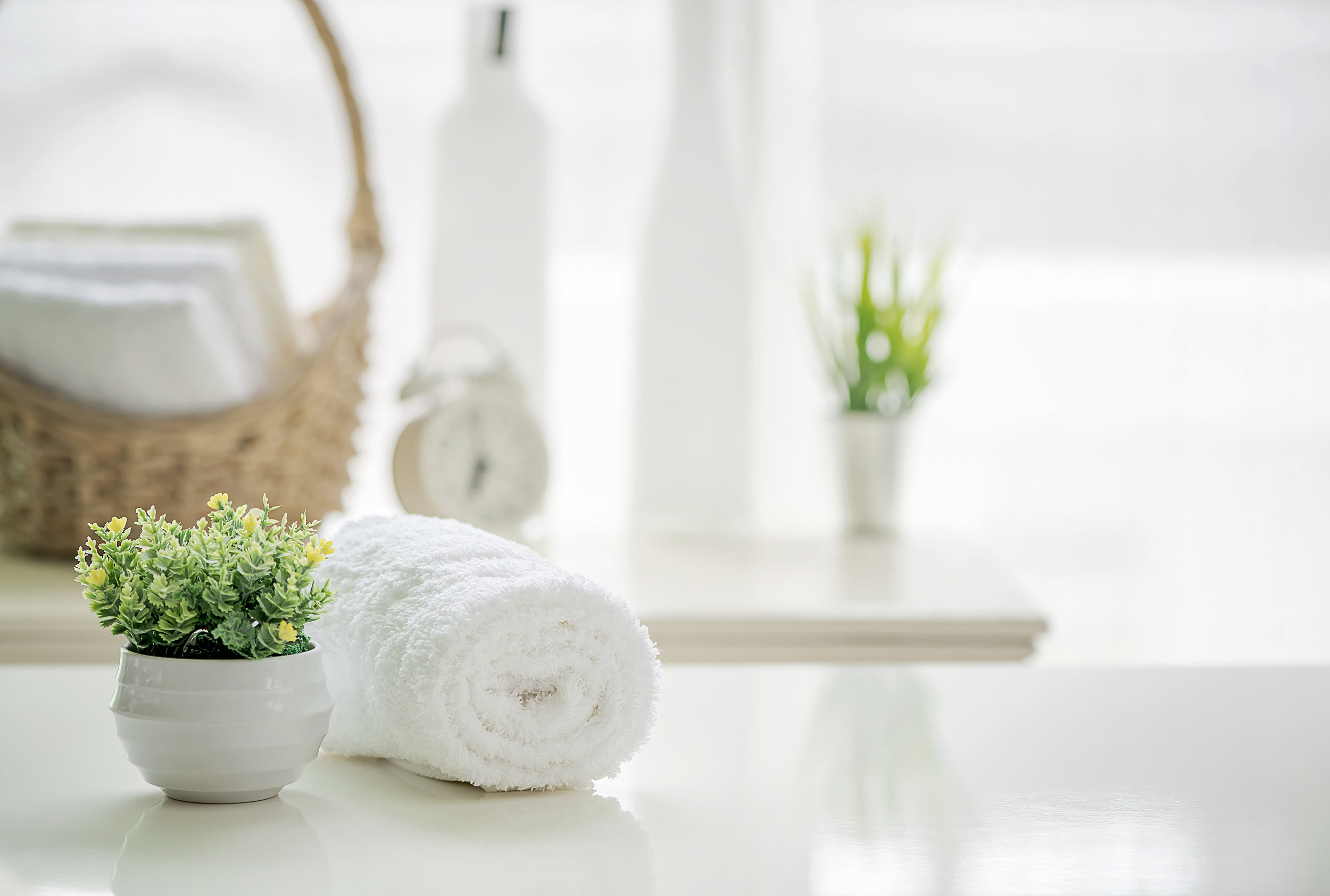 AdobeStock_210764728.jpeg