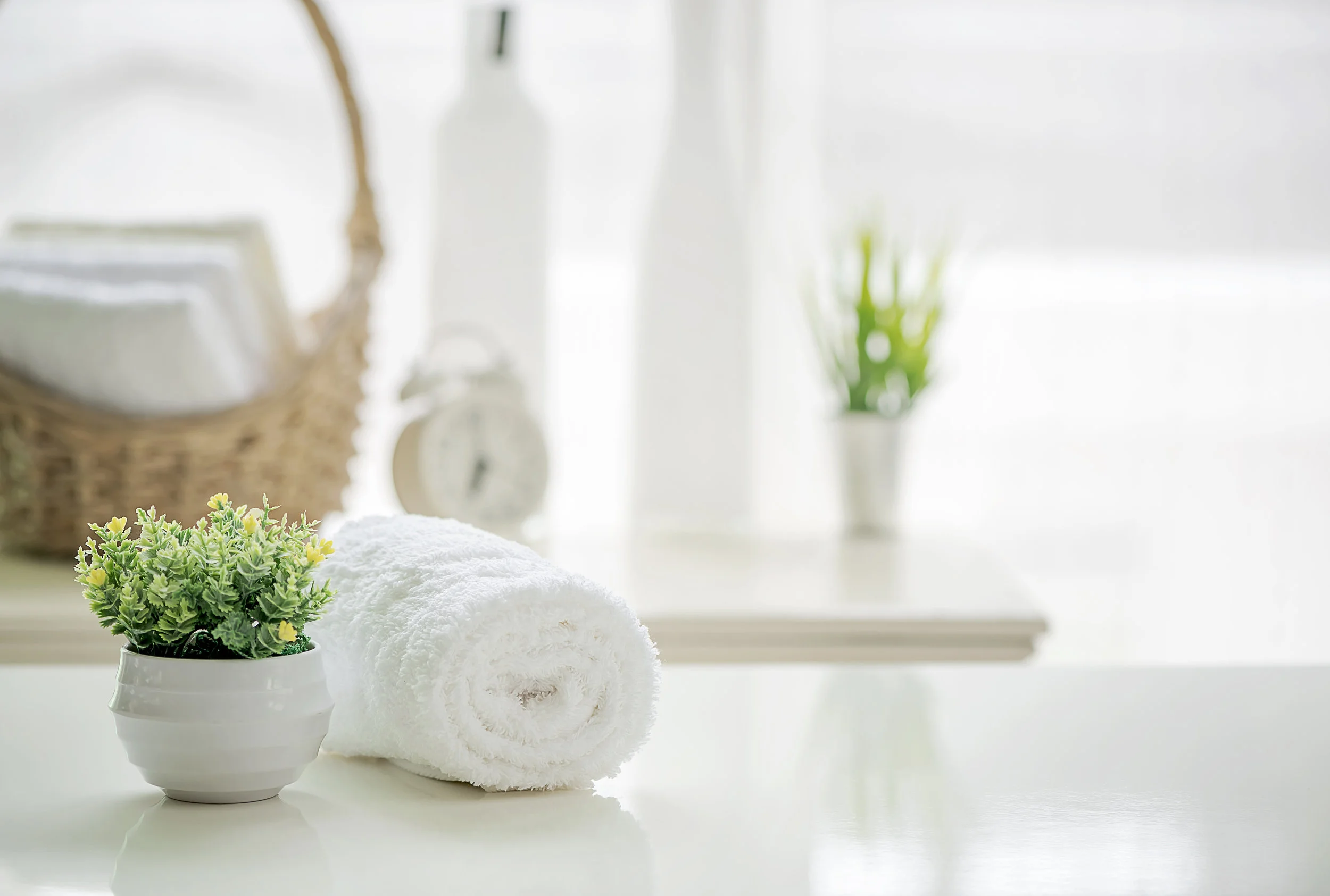 AdobeStock_210764728.jpeg