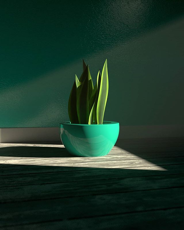 Some more 3d experiments with inspiration from plants around the house.

#redshift #redshift3d #3dmodeling #3d #cinema4d #still #3dlighting #snakeplant #plants #cgi #motiongraphics #motiondesign #newfoundland #newfoundlandartist #newfoundlandart
