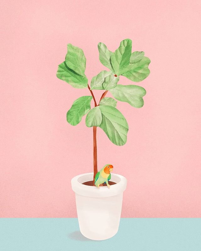 Throwback to a great illustration coloration with @watercoloursandpens for a special birthday gift!
.
.
.
#illustration #illustrator #photoshop #digitalpainting #fiddleleaffig #plants #design #stil #2d #flatdesign #pastel #texture