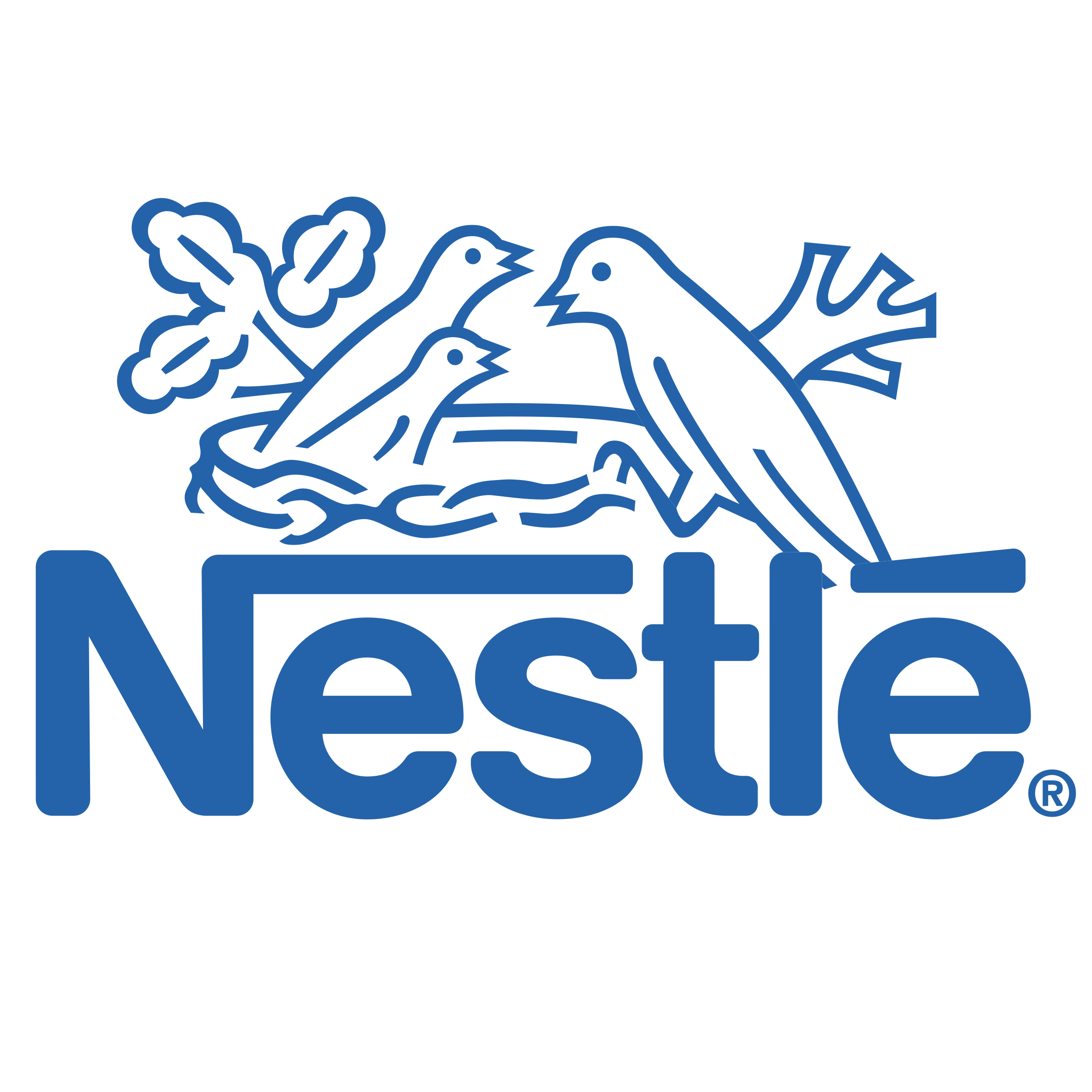 Nestle Company