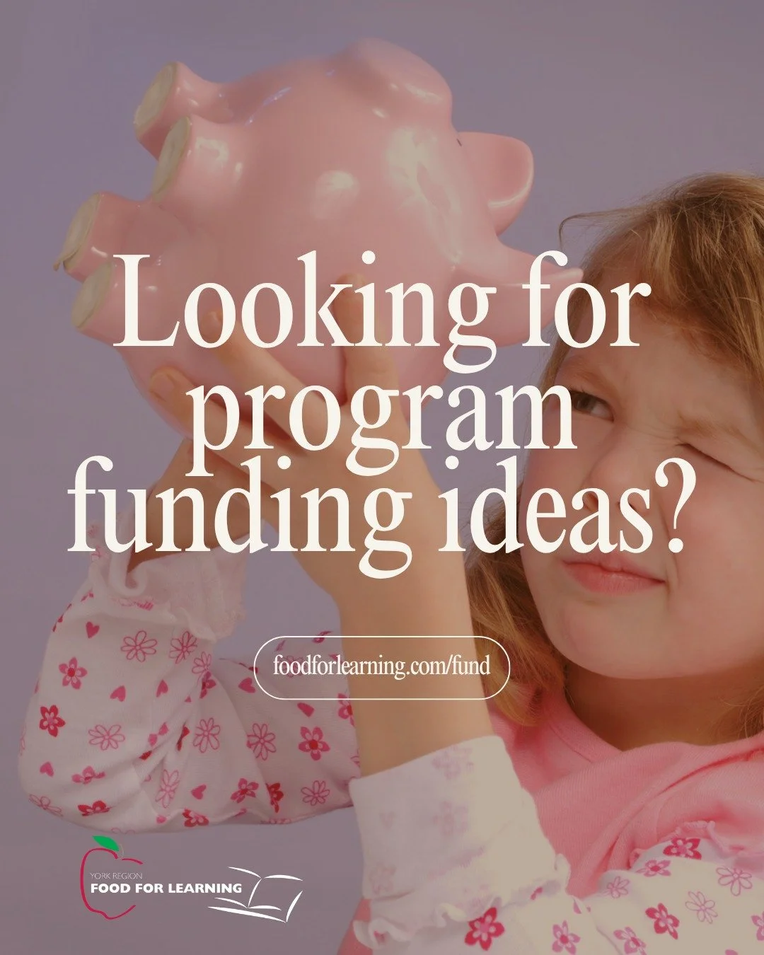SNP across York Region are supported by seed funding from the Provincial and Federal governments, but schools must still look for additional funding sources to ensure they can run strong programs all year long. Visit the YRFFL website for ideas on ho