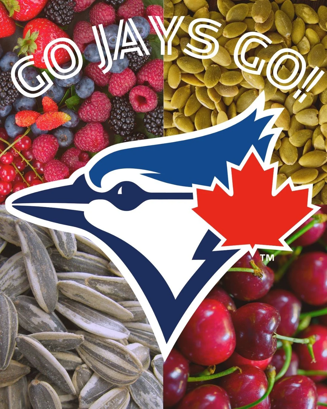 Did you know that blue jays eat a wide variety of foods, including berries, pumpkin seeds, sunflower seeds and fruits such as cherries? These avian favourites would also make the perfect game time snack as we support our Toronto Blue Jays in Game 1 o