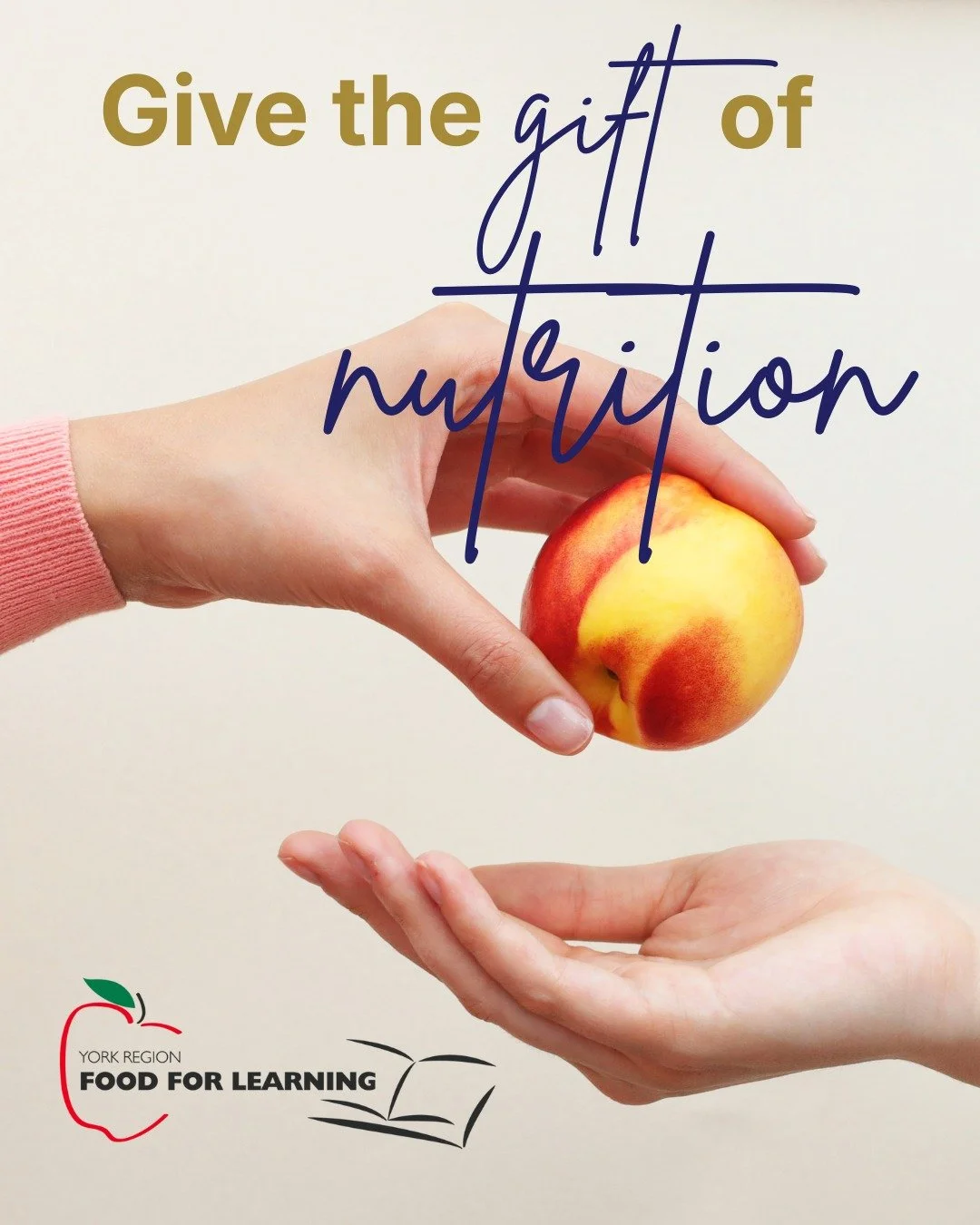 This Giving Tuesday why not give the gift of nutrition to students across York Region? Visit www.foodforlearning.com/donate for information on how you can help ensure no student is hungry at school! 
 #StudentNutrition #healthykidshealthyminds #stude
