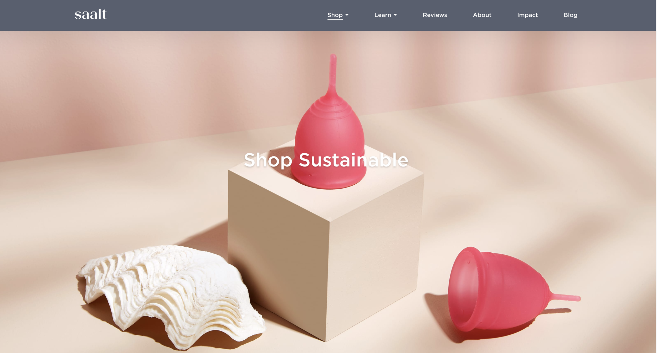 Screen Shot 2019-06-05 at 12.11.20 PM.png