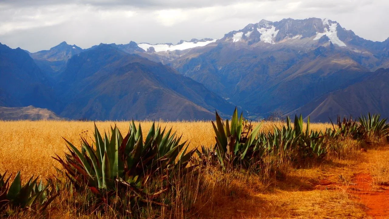 peru 2.jpg