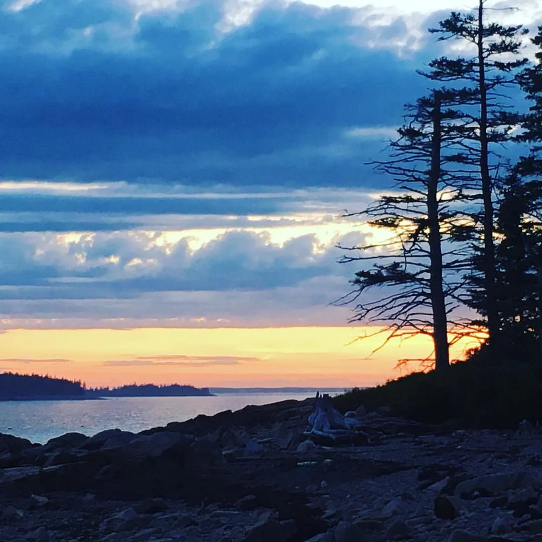 LAST SUNSET.jpg