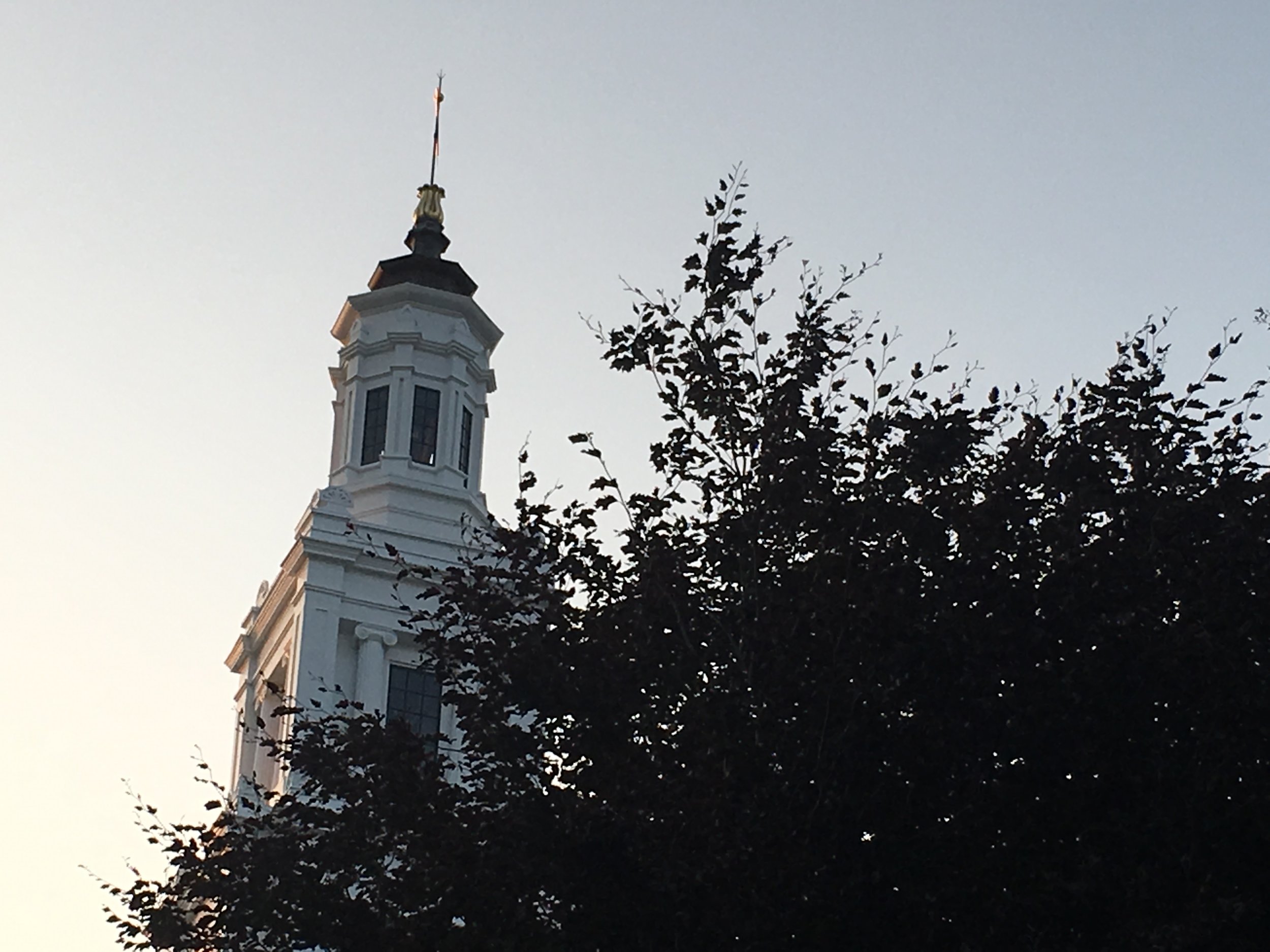 IMG_4987.jpg