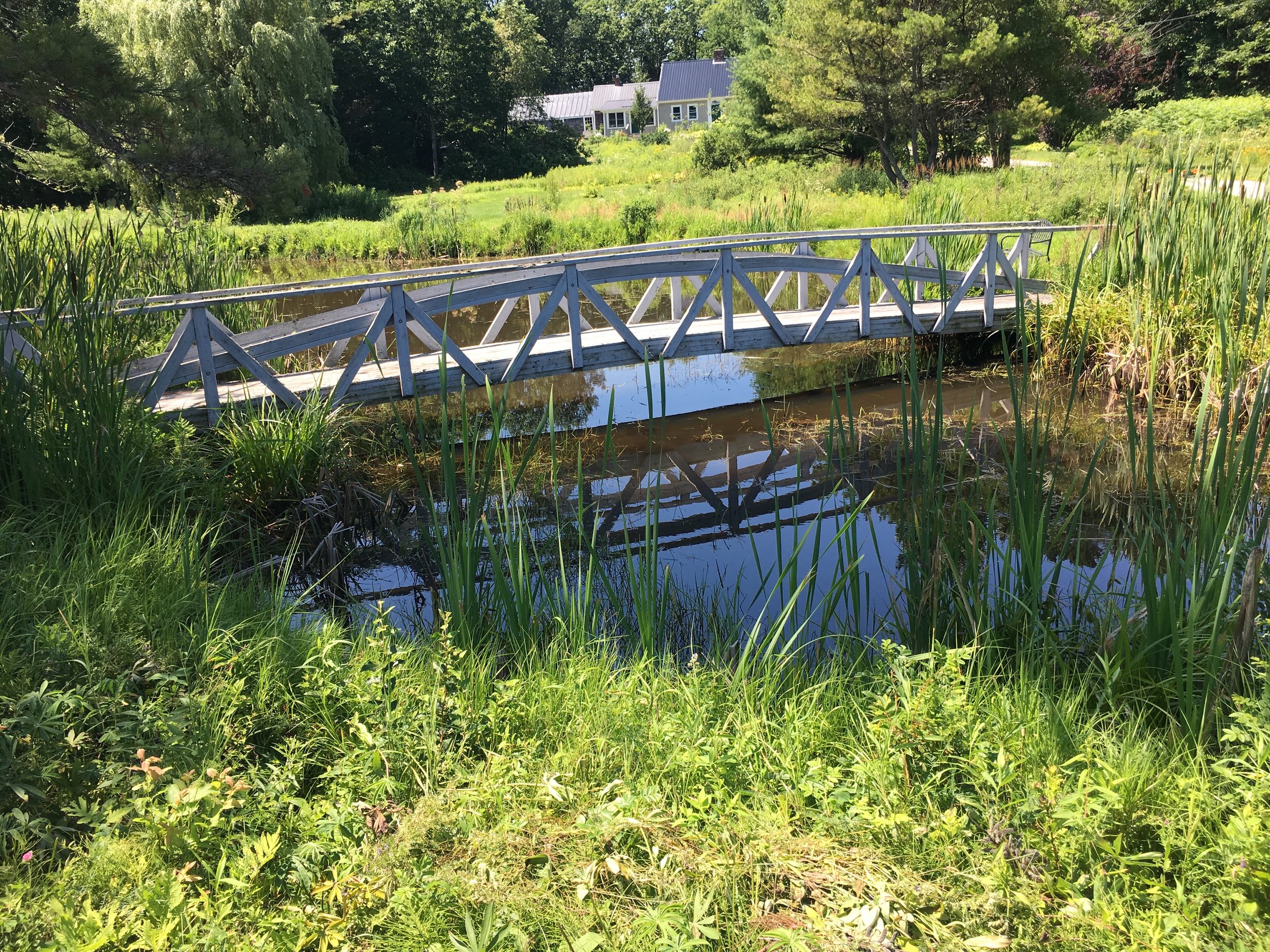 a random mini Monet bridge