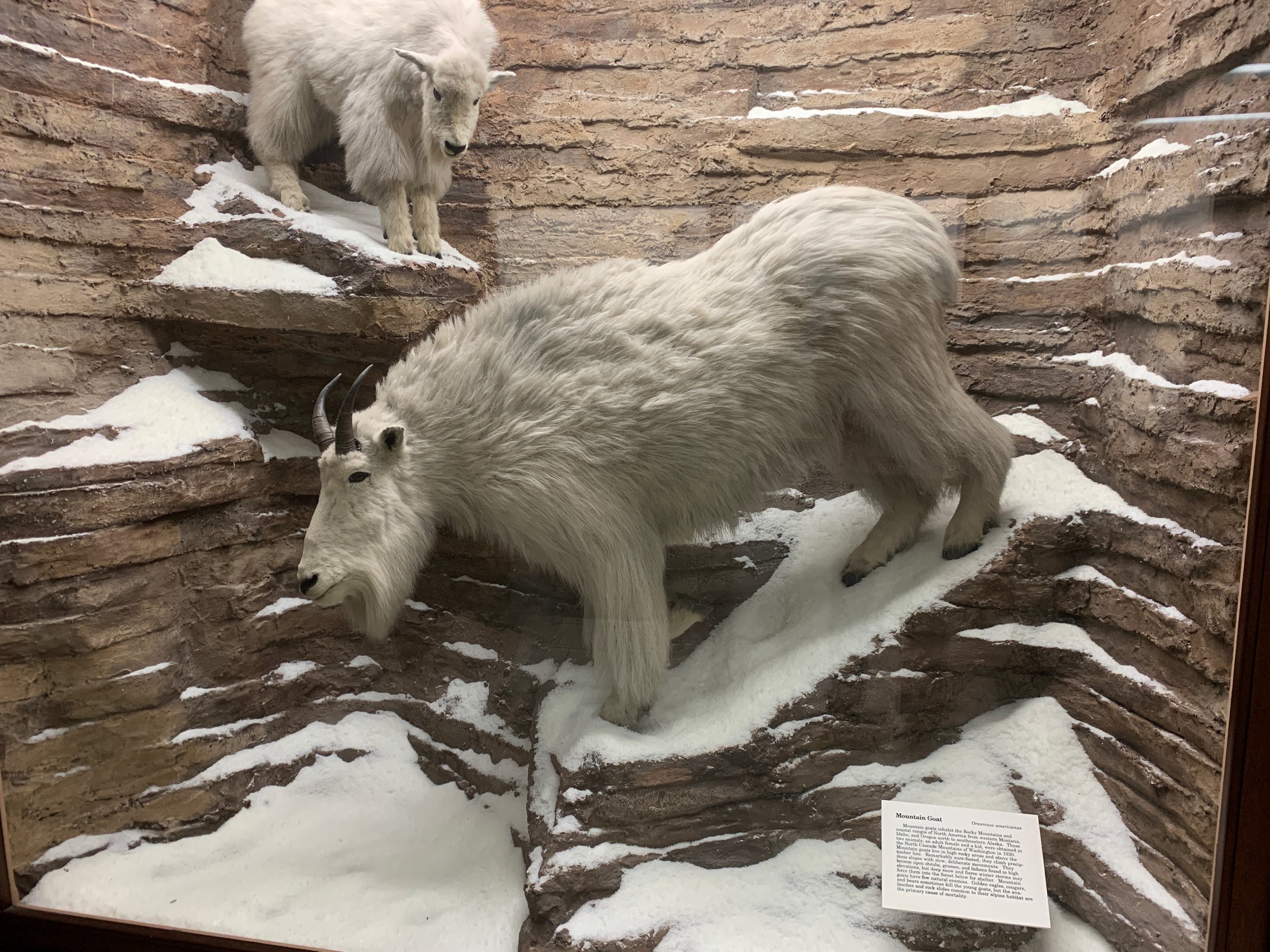 IMG_1002.jpeg