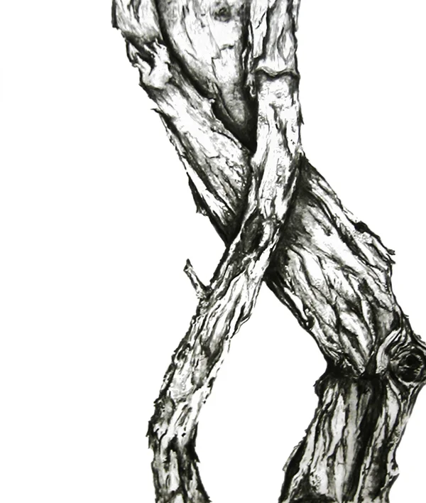 Intertwine. Conte on paper.