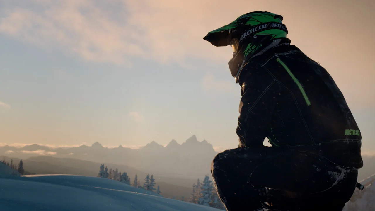 arctic cat