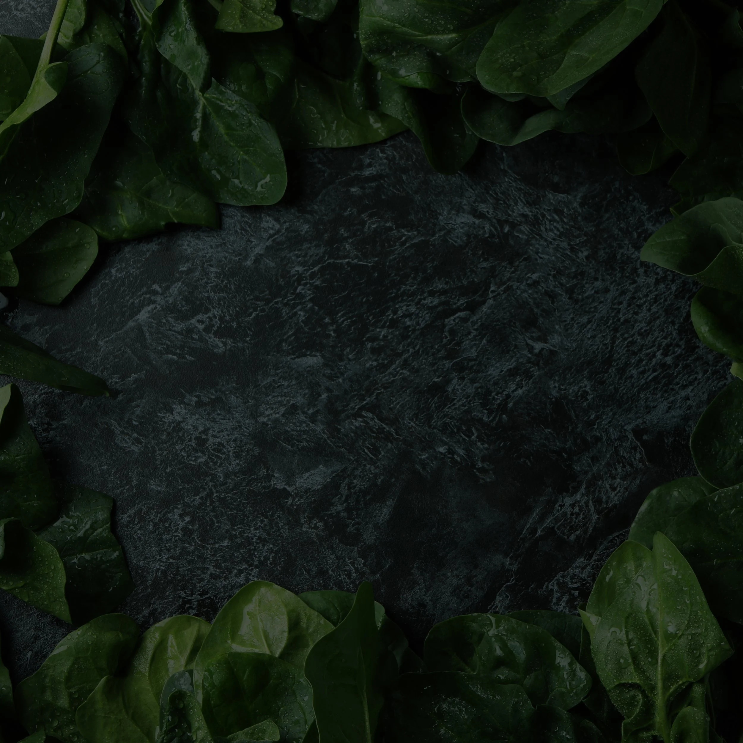 spinach-on-black-smokey-background-space-for-text-2026-01-09-08-07-26-utc-edit.jpg