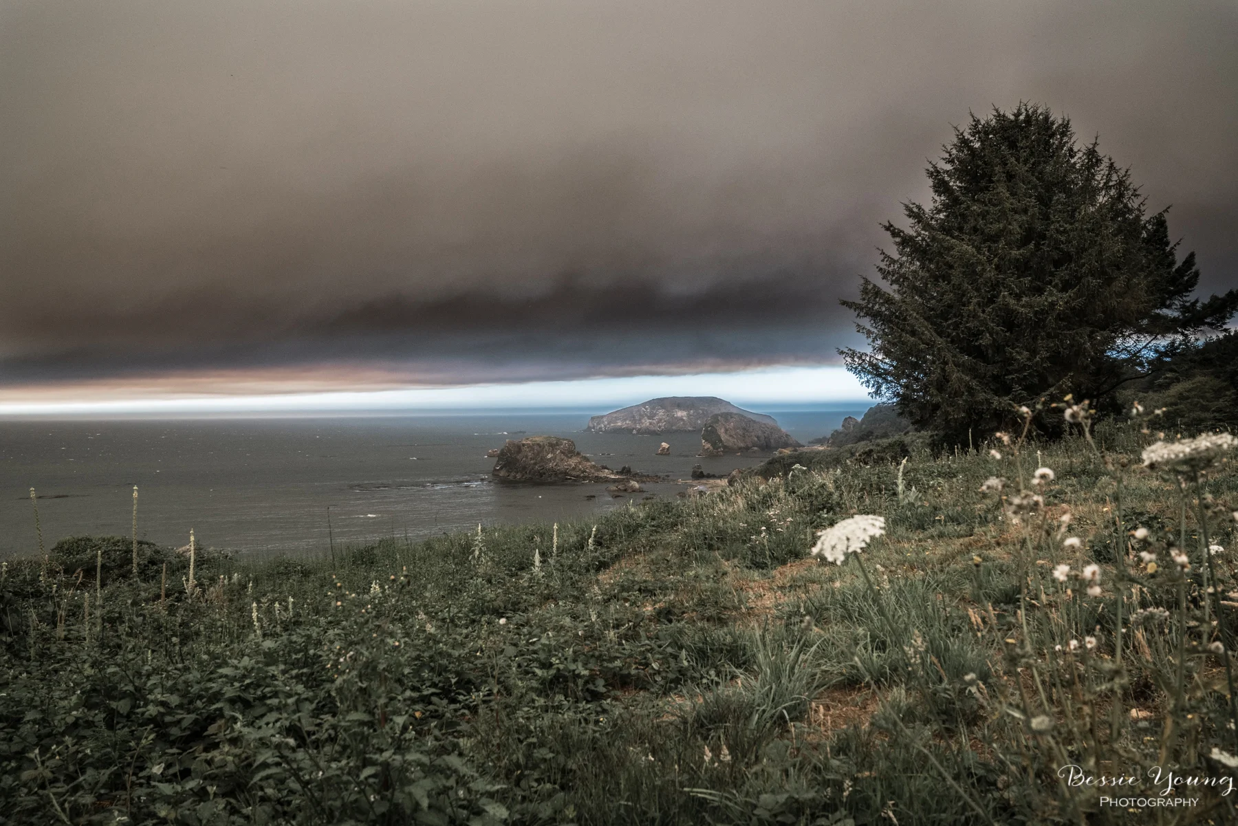 Chetco Bar Fire Brookings Oregon 2017 - Bessie Young Photography-2.jpg
