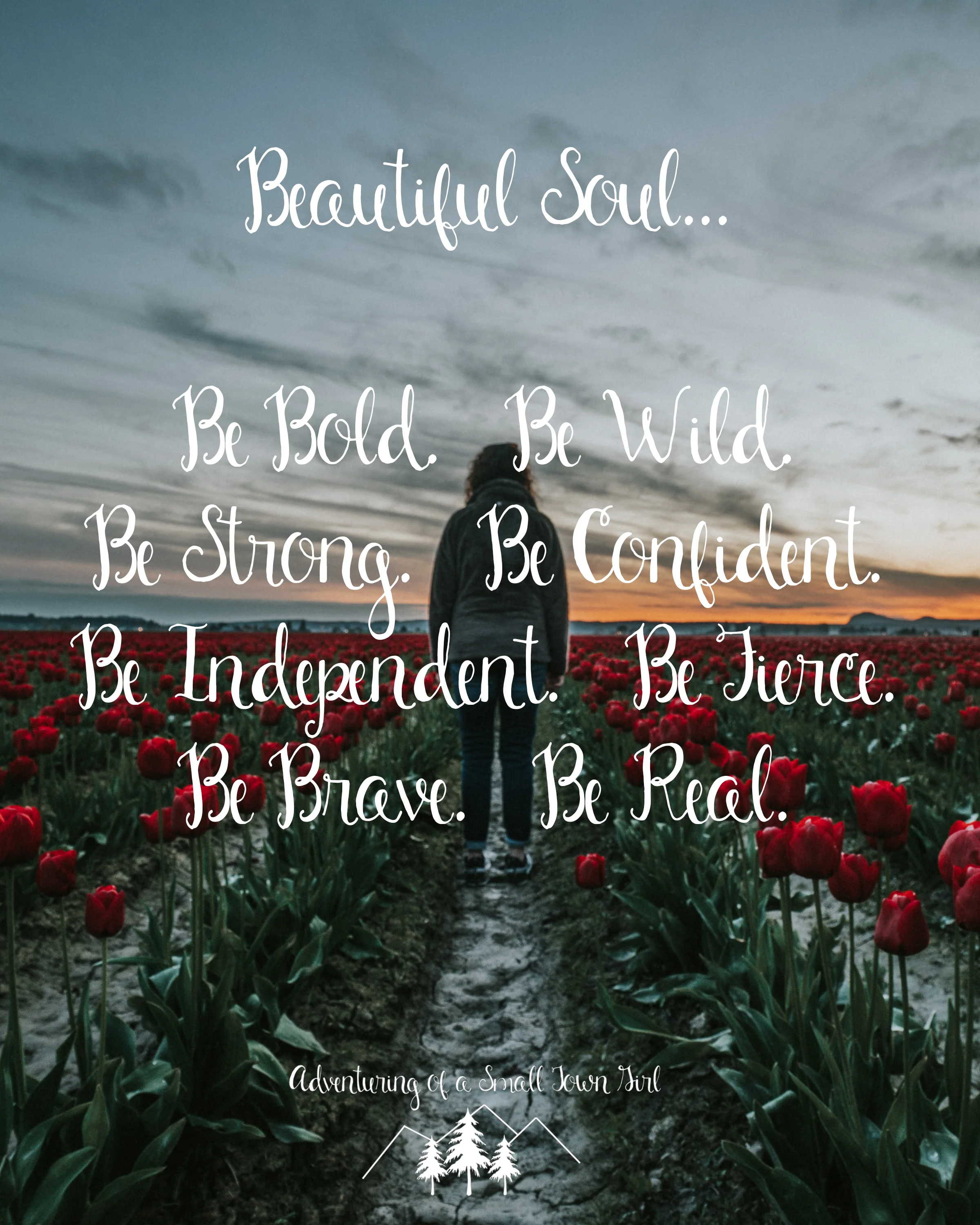 beautiful soul by adventuring of a small town girl.jpg