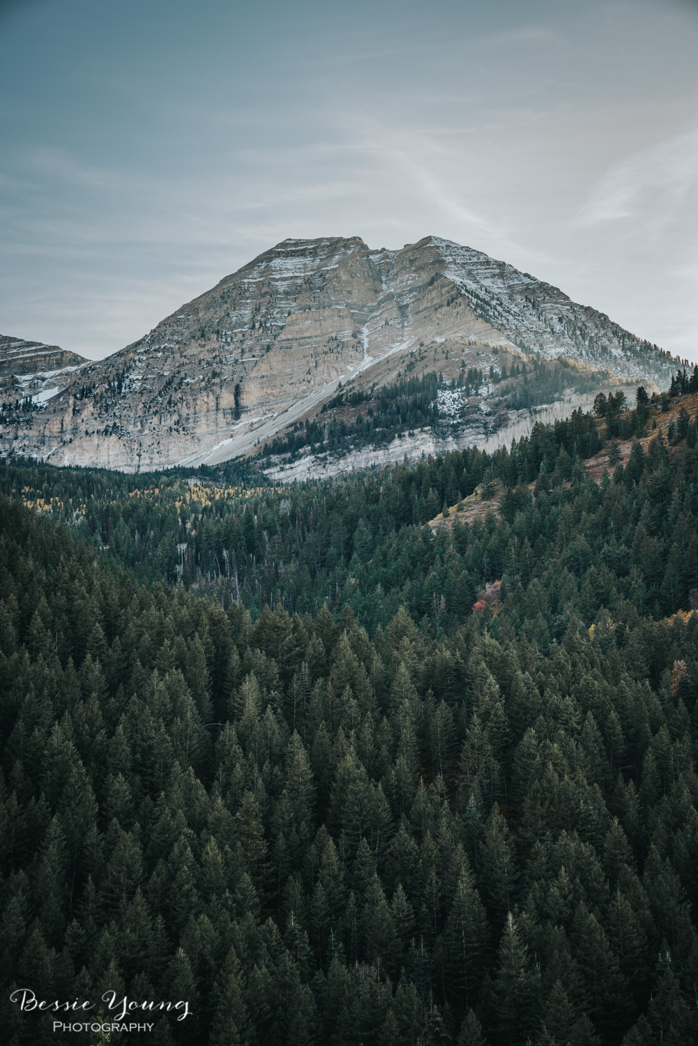 Alpine Loop Scenic Drive , Utah - Places to Visit in Utah by Adventuring of a Small Town Girl (ASTG)