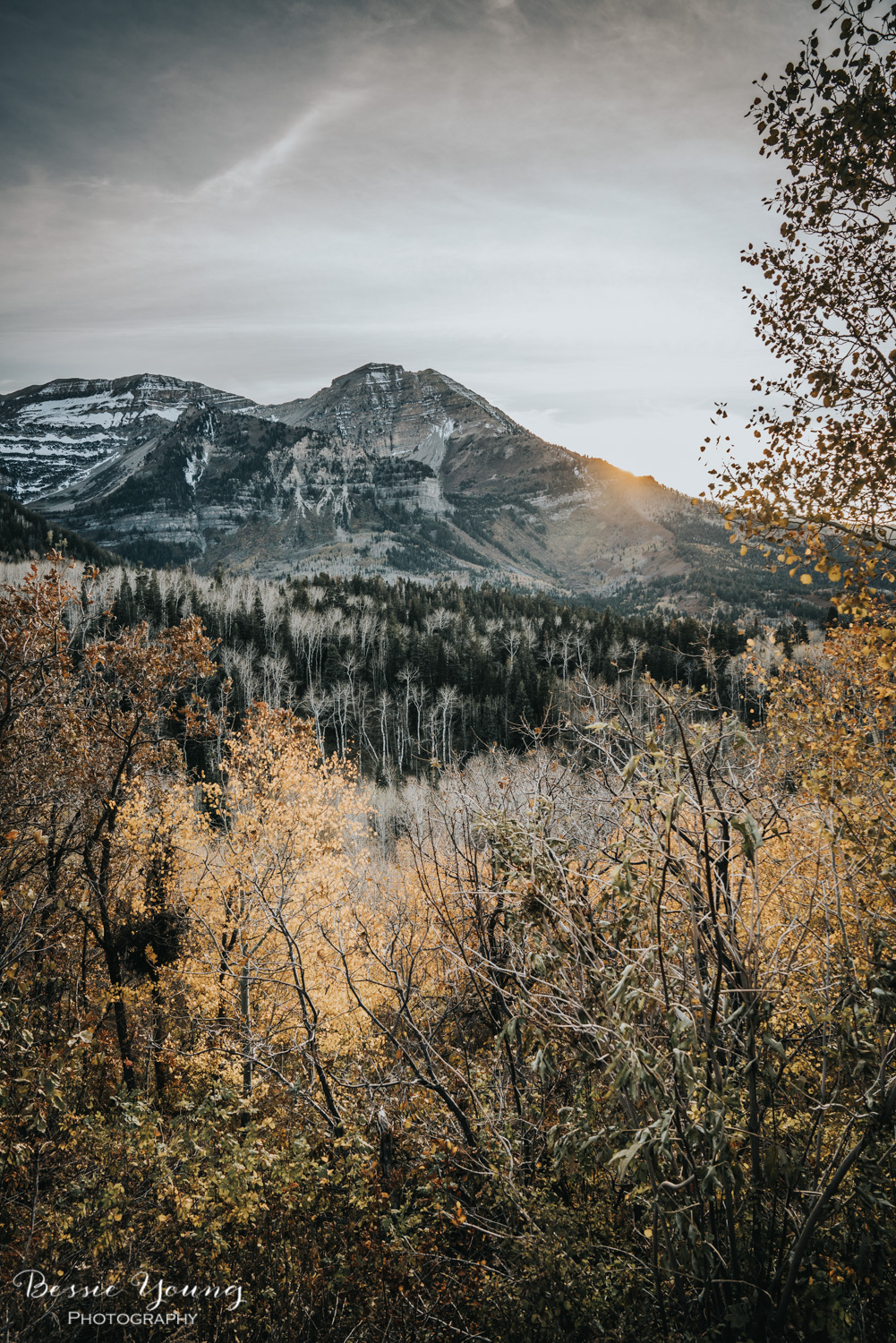 Alpine Loop Scenic Drive , Utah - Places to Visit in Utah by Adventuring of a Small Town Girl (ASTG)