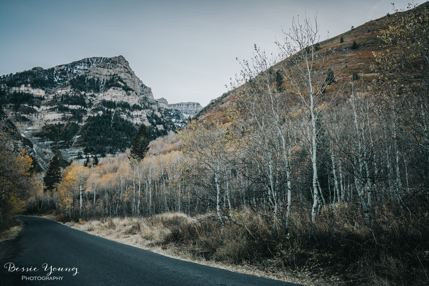 Alpine Loop Scenic Drive , Utah - Places to Visit in Utah by Adventuring of a Small Town Girl (ASTG)