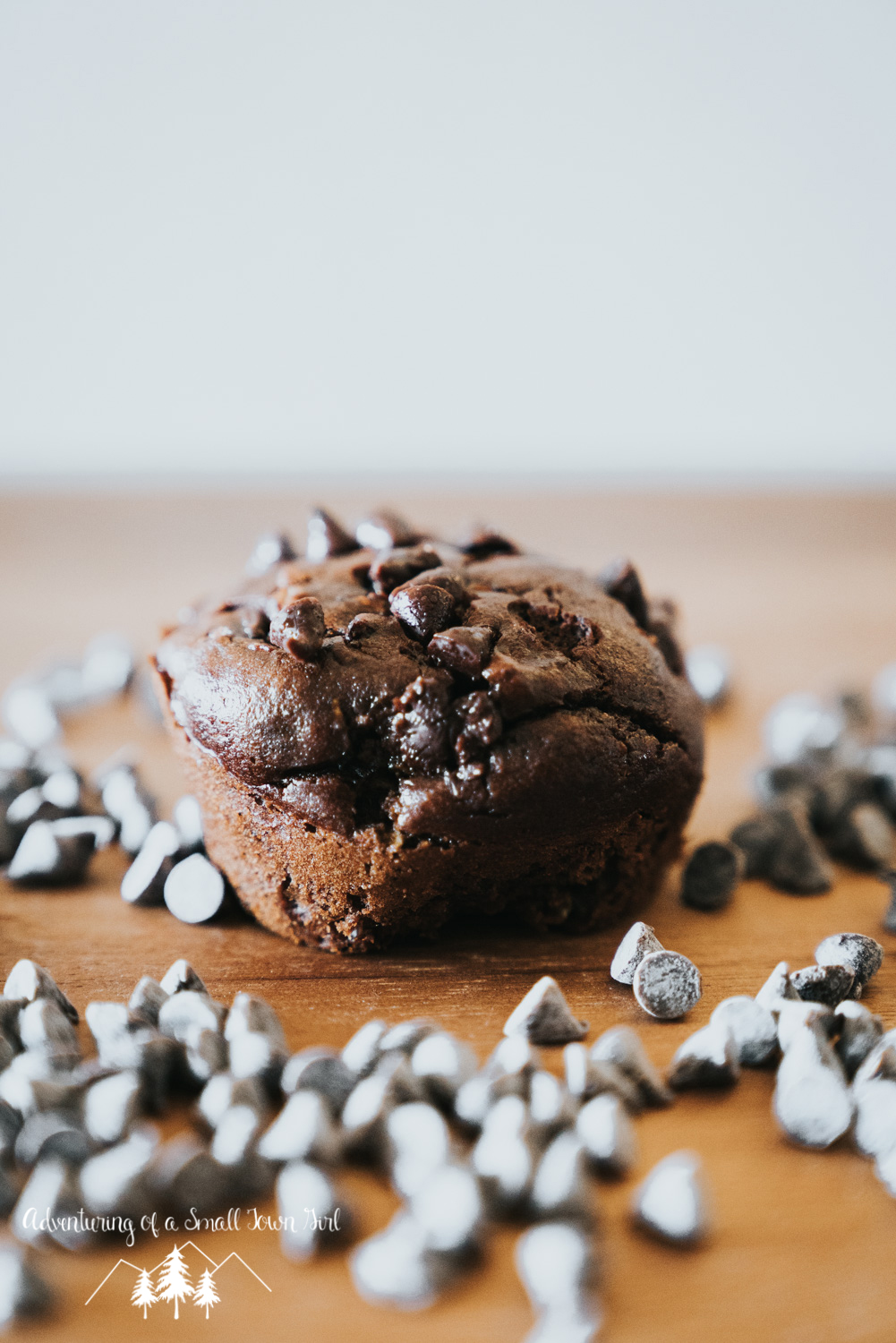 Paleo Chocolate Muffin Recipe - Zucchini Gluten Free Chocolate Muffin Recipe by Adventuring of a Small Town Girl