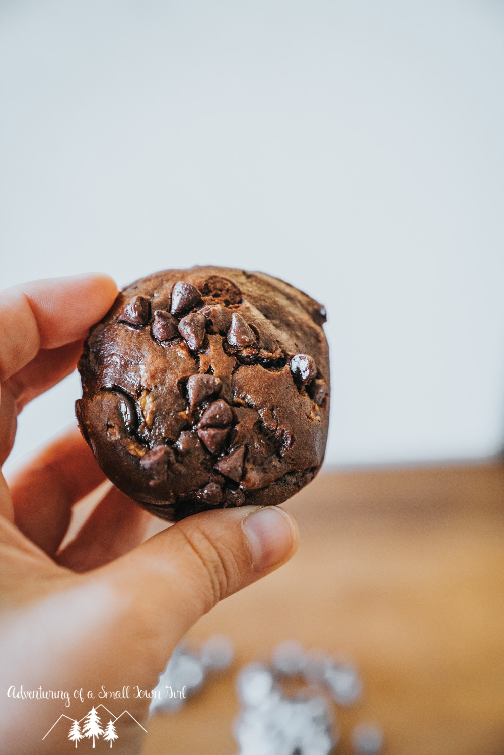 Paleo Chocolate Muffin Recipe - Zucchini Gluten Free Chocolate Muffin Recipe by Adventuring of a Small Town Girl