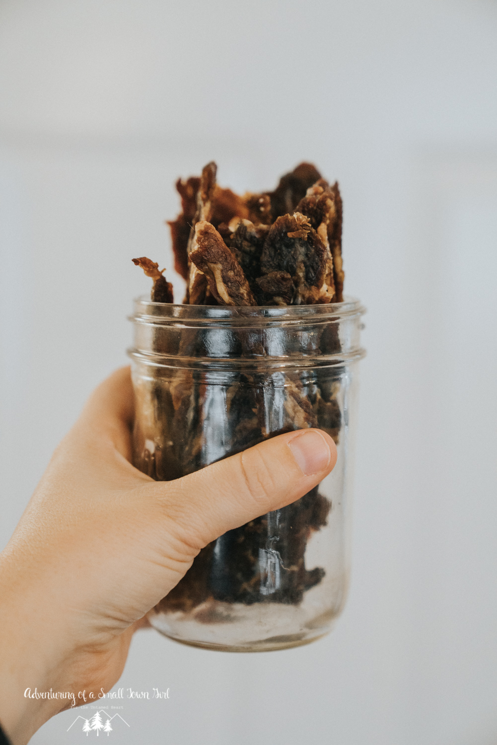 Dehydrated Smokey Sweet Mustard Jerky Recipe by Adventuring of a Small Town Girl - Recipes for Backpacking - Recipes for Adventures - Recipes for the trail Beef Jerky Recipe