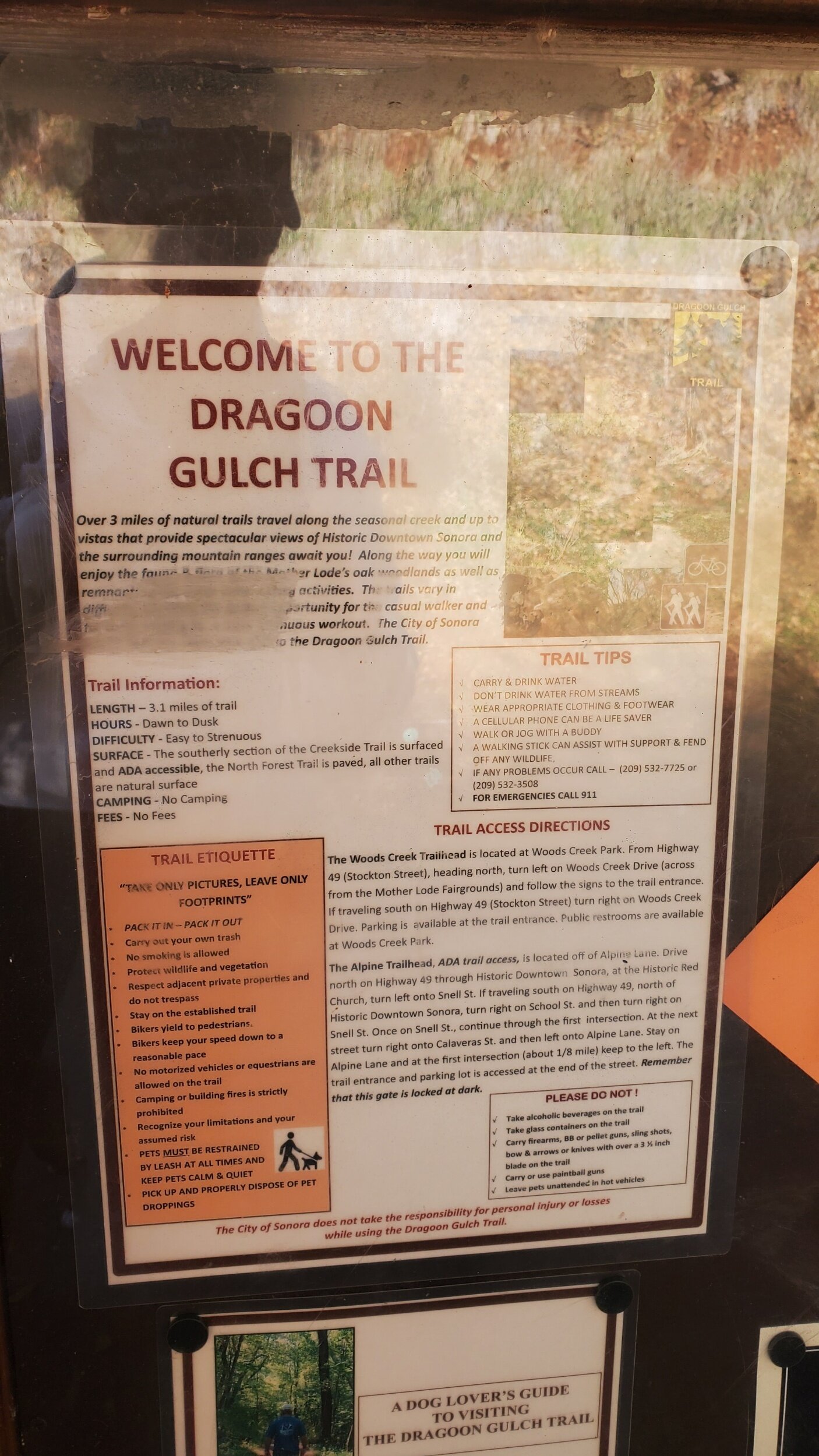 Dragoon Gulch Trail Sonora California  by Bessie Roaming