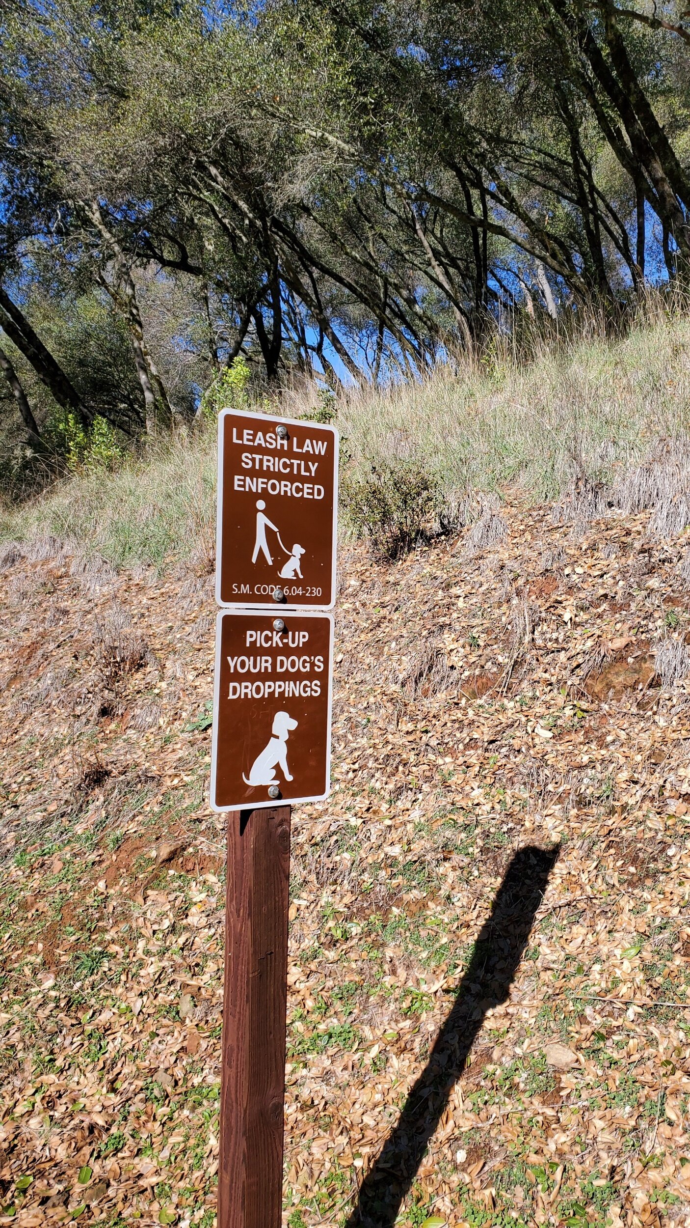 Dragoon Gulch Trail Sonora California  by Bessie Roaming