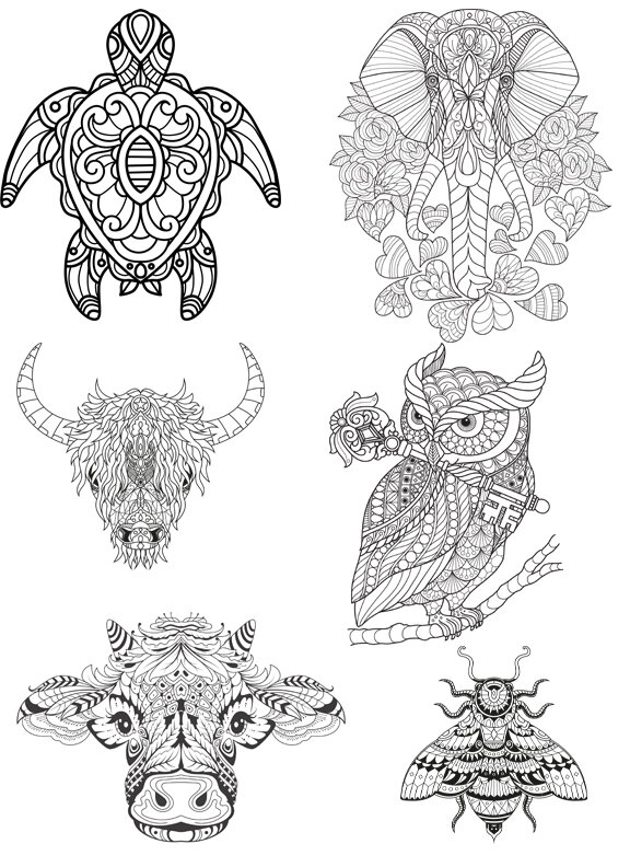 Tween Coloring Book: Cute Animal Designs: Colouring Pages For Boys & Girls  of All Ages, Preteens, Intricate Zentangle Drawings For Stress Relief, Ages  8-12, Mindfulness, Calming Art Activity - Art Therapy Coloring:  9781641262842 - AbeBooks