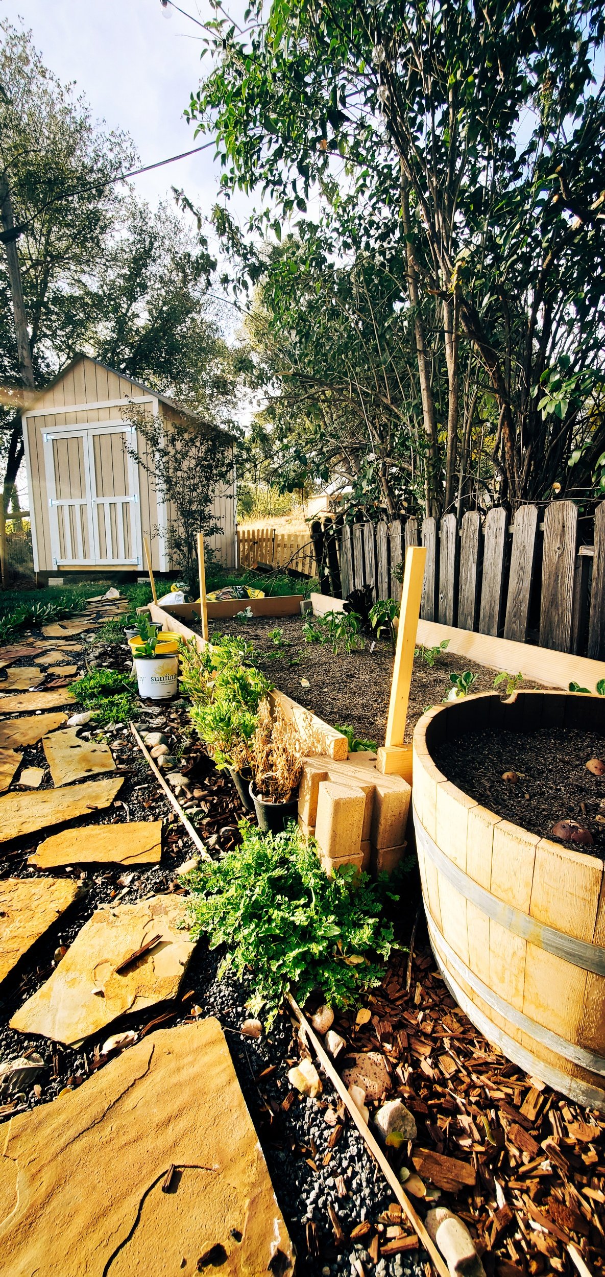 How to make a simple outdoor vegetable garden by Bessie Roaming
