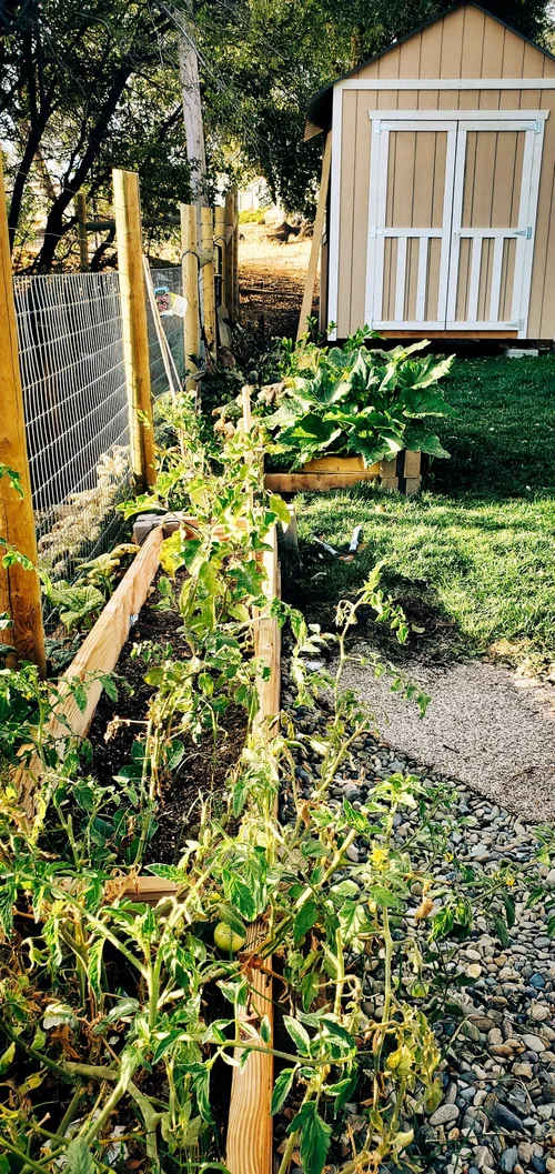 How to Make a Vegetable Garden Fence: DIY Guide