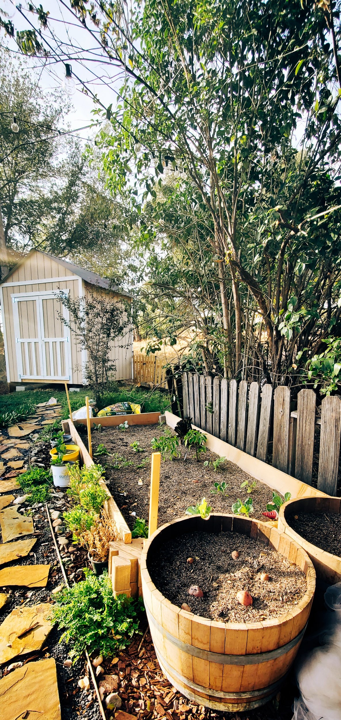 How to make a simple outdoor vegetable garden by Bessie Roaming - An easy guide to make a raised vegetable garden