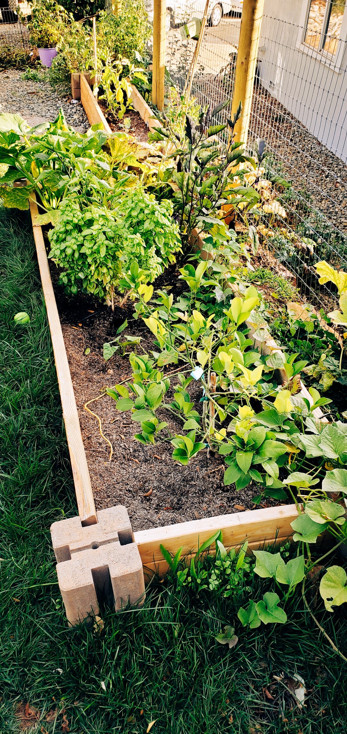 How to make a simple outdoor vegetable garden by Bessie Roaming - An easy guide to make a raised vegetable garden