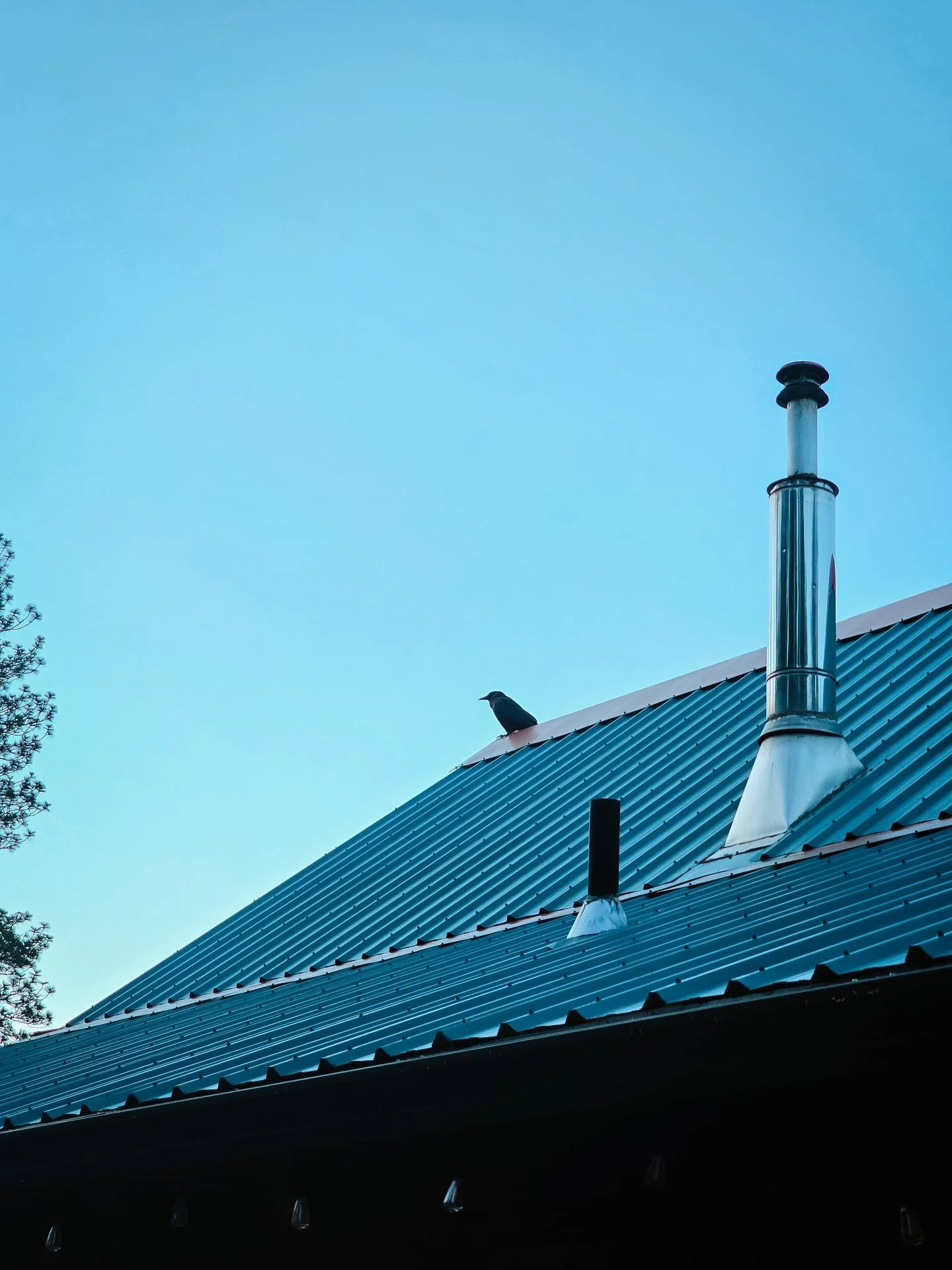 I heard a weird noise Ive never heard this morning. It sounded like a scraping. I was kind of nervous to go outside because we've had mountain lions, bears, and very mean dogs running around. 

I peeked out the window and didnt see anything. 

Slowly